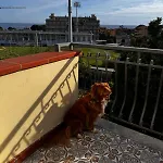 Sunhome Sea View And Direct Access San Remo
